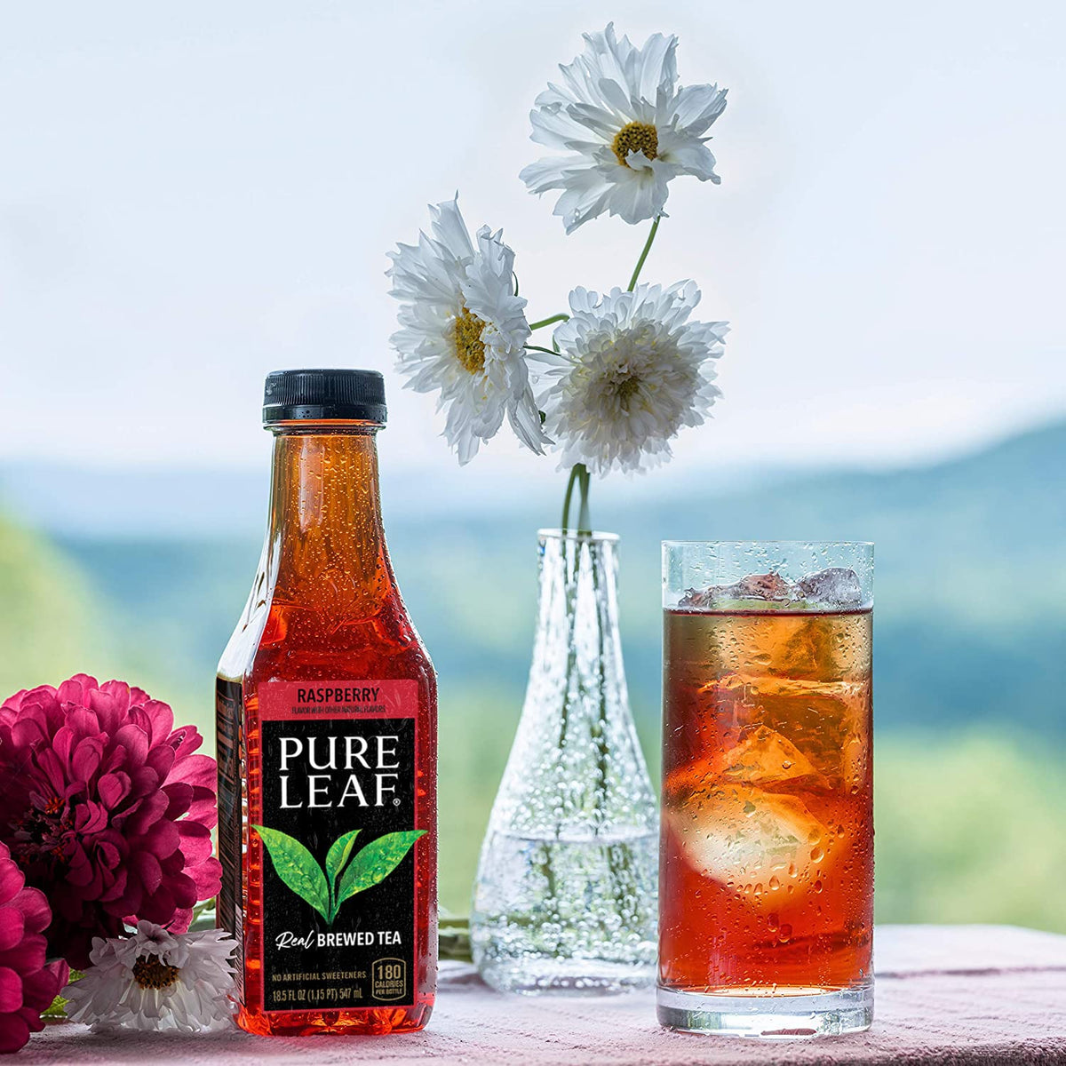 Pure Leaf Iced Tea, Raspberry, Real Brewed Tea, 18.5 Fl Oz Bottles
