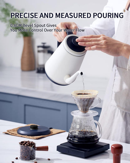 DmofwHi Gooseneck Electric Kettle(1.0L), 100% Stainless Steel BPA Free Classic Pour Over Coffee Kettle | Tea Kettle - Green