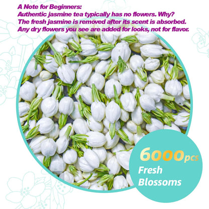 Essencesip Organic Jasmine Green Tea Loose Leaf, 4oz Tin – Scented 5x with 6,000 Fresh Jasmine Blossoms, Low Caffeine, Antioxidant-Rich
