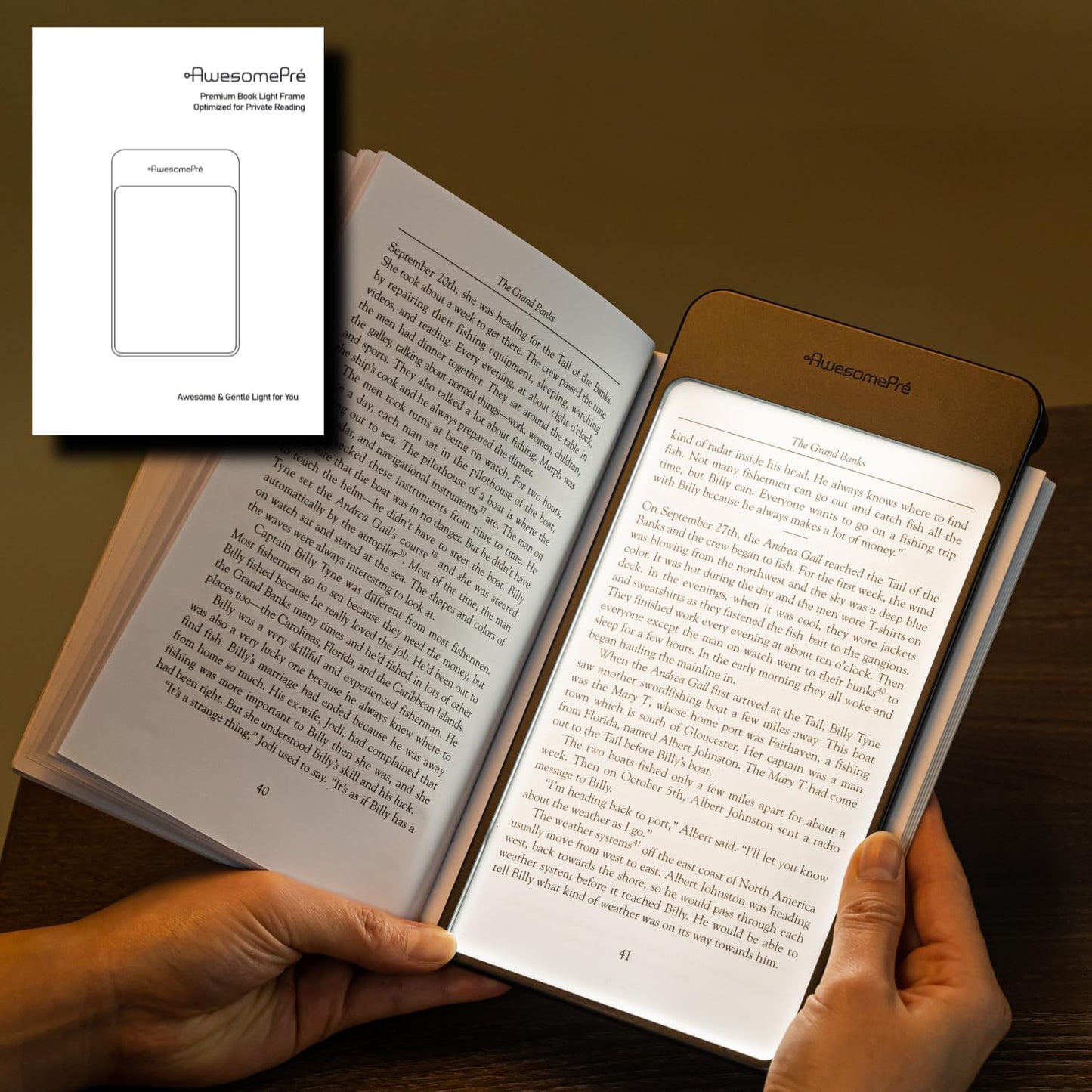 Plus Book Light, LED Reading Light, USB Rechargeable, Warm & Cool Tone, Portable Cordless Lamp for Bedtime Reading (Warm LED)