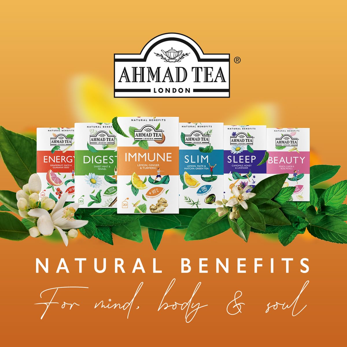 Ahmad Tea Variety Gift Box, 60 Foil Enveloped Teabags, Twelve Teas, 1 Count