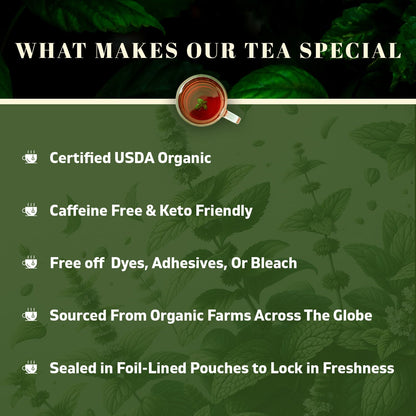 Oxify USDA Organic Spearmint Loose Leaf Tea, Caffeine Free, 16 oz