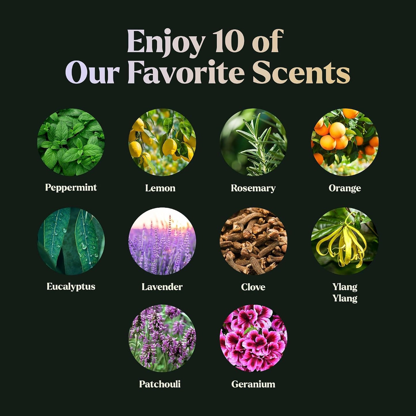 Lagunamoon Essential Oils Aromatherapy Set - 6 Oils for Diffusers, Home Care, Candle Making Scents, Fragrance, Humidifiers, Gifts - Peppermint, Tea Tree, Lavender, Eucalyptus, Orange (10mL)