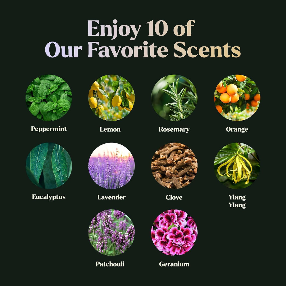 Lagunamoon Essential Oils Aromatherapy Set - 6 Oils for Diffusers, Home Care, Candle Making Scents, Fragrance, Humidifiers, Gifts - Peppermint, Tea Tree, Lavender, Eucalyptus, Orange (10mL)