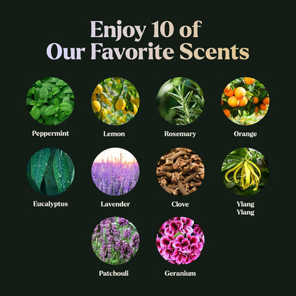 Lagunamoon Essential Oils Aromatherapy Set - 6 Oils for Diffusers, Home Care, Candle Making Scents, Fragrance, Humidifiers, Gifts - Peppermint, Tea Tree, Lavender, Eucalyptus, Orange (10mL)