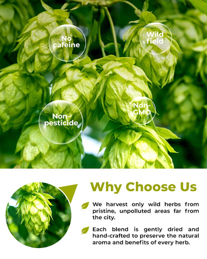 50 Bags Hop Tea Hops Herb Dried Hops Flowers Herbal Tea (Humulus Lupulus) - 50 Count 1.5g Bags Hoptea Lupulo Entero