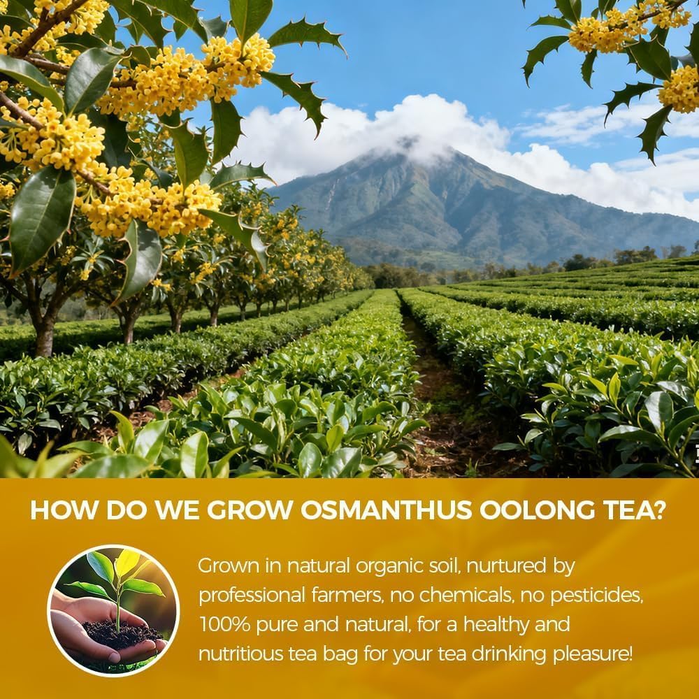 WOTIHA 40 Count Premium Osmanthus Oolong Tea Bags - 100% Natural, Aromatic Osmanthus Flavor, Smooth Oolong Taste, Additive-Free, Sugar-Free, Vegan