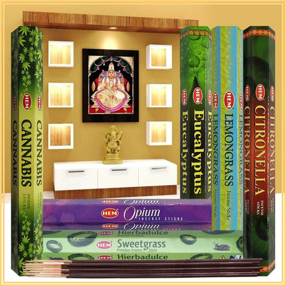 Hem Incense Sticks Variety Pack #23-120 Insence-Sticks (6 Incents x 20 Insense) + Incense Stick Holder with 6 Most Liked Scents Including Patchouli Dragons Blood White Sage Frankincense-Myrrh