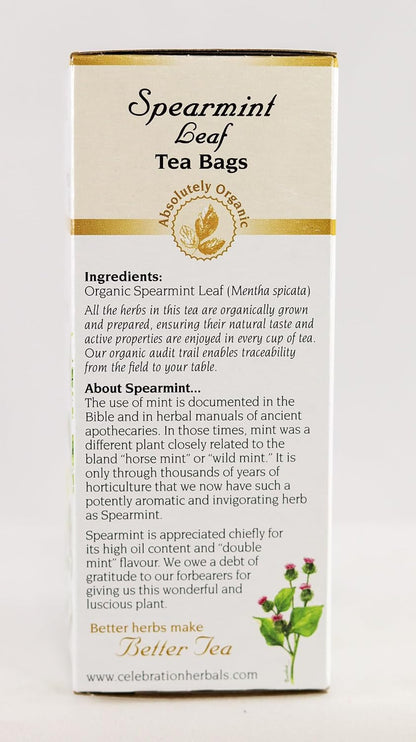 CELEBRATION HERBALS Spearmint Leaf Tea Organic 24 Bag, 0.02 Pound