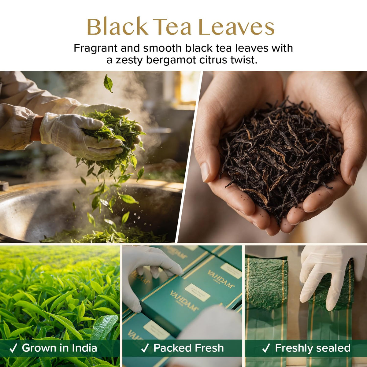 VAHDAM Earl Grey Tea Loose Leaf (12oz|170+ Cups) Black Tea with Bergamot