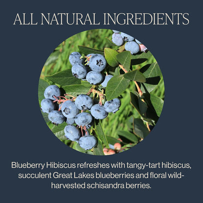 Rishi Tea Blueberry Hibiscus Organic Herbal Tea Bags, Caffeine Free, 15ct