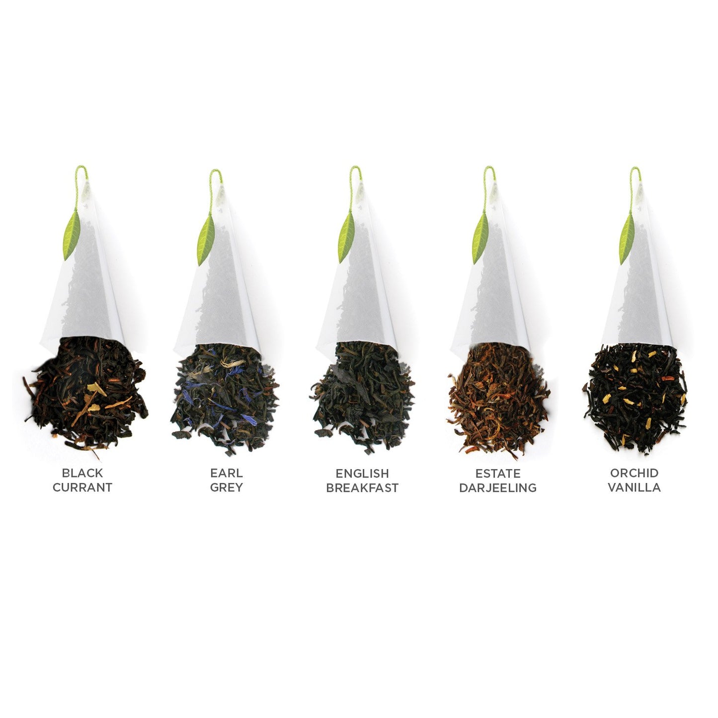 Tea Forte Premium Presentation Box Gift Set Sampler, 20 Count, Assorted Blends Individually Wrapped Handcrafted Pyramid Infuser Bags, Frank Lloyd Wright