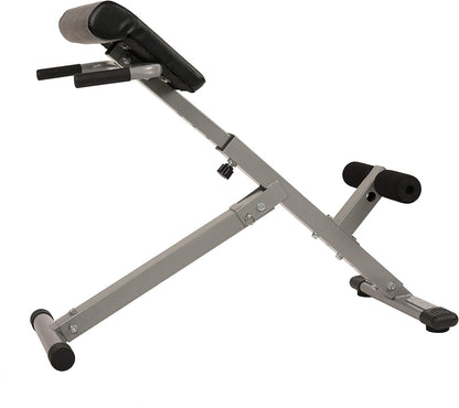 Sunny Health & Fitness Multi-Function Roman Chair with Dip Station & Sit-Up Bench, Adjustable Heavy-Duty Strength Training Equipment for Glutes, Core & Lower Body Workouts, Hyperextension Machine for Home Gym