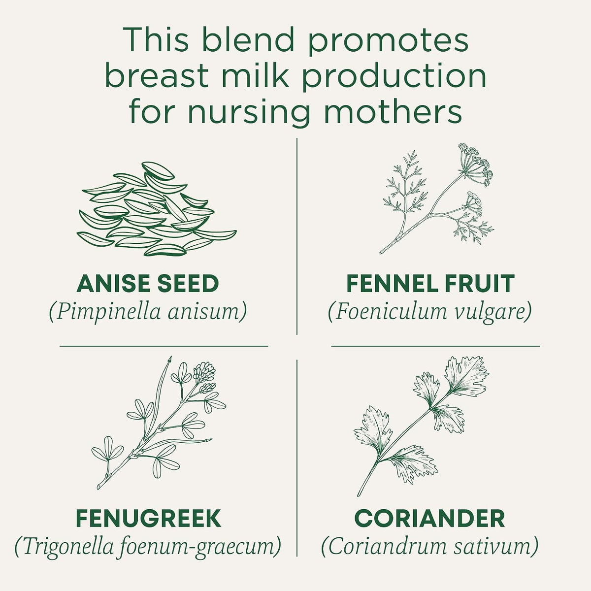 Traditional Medicinals Organic Mother's Milk, 48 Tea Bags