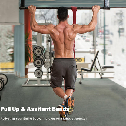 Resistance Bands, Pull Up Assist Bands - Workout Bands, Eexercise Bands, Long Resistance Bands Set for Working Out, Fitness, Training, Physical Therapy for Men Women