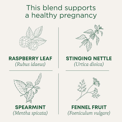 Traditional Medicinals Tea, Organic Pregnancy Tea, Supports a Healthy Pregnancy, Raspberry Leaf and Spearmint, 16 Bags (Pack of 2)