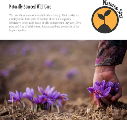 Natures-Star Lavender Essential Oil, 16 Ounce, Therapeutic Grade for Aromatherapy, Candle & Soap Making, Diffusers & Home, Lavender Oil