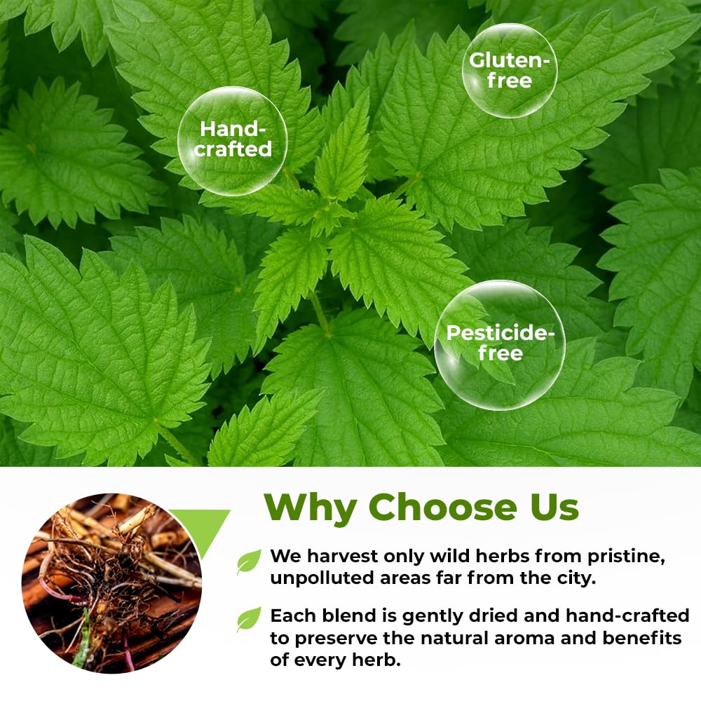 30 Bags Nettle Root Dried Stinging Nettle Root Herbal Tea - 30 Count 1.5g Bags Herb Tea Raíz De Ortiga