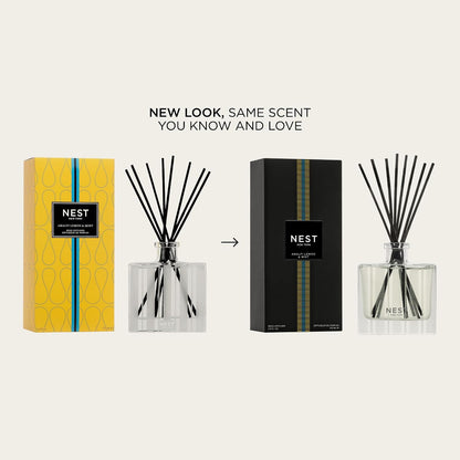 NEST New York Reed Diffuser, Bamboo - 5.9 fl oz - Fragrance for Up to 90 Days - Reusable, Refillable Glass Holder - Includes 8 All-Natural Reed Sticks - Flame Free