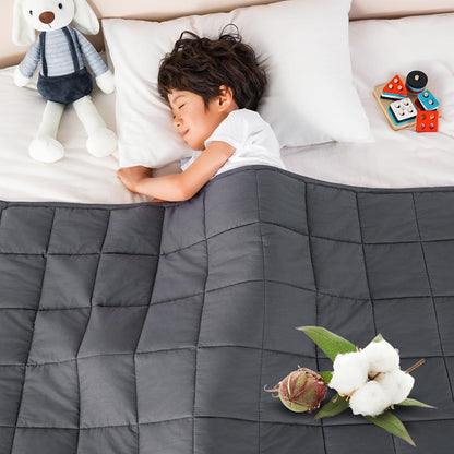 Sivio Weighted Lap Pad 2lbs, Cotton Weighted Blanket Sensory Weighted Lap Blanket Indoor Outdoor, 19 x 21 Inch, Blue Dinosaur