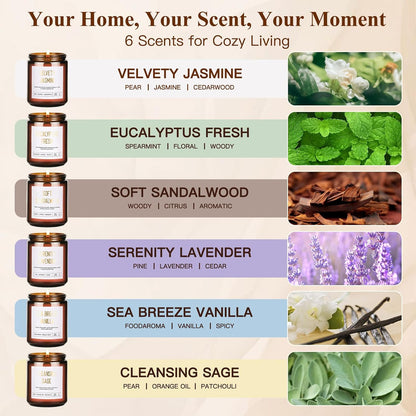 6-Pack Scented Soy Candle Set – Lavender Vanilla, Eucalyptus, Sandalwood, Jasmine & White Tea, Coconut, Sage | Natural Long Lasting Aromatherapy Candles for Home, Relaxation & Birthday Gifts