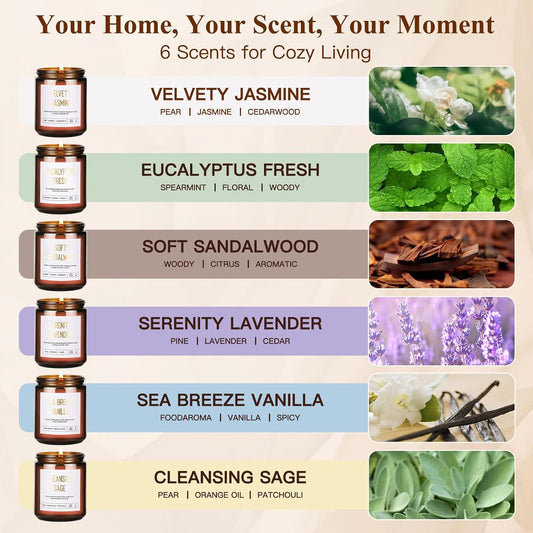 6-Pack Scented Soy Candle Set – Lavender Vanilla, Eucalyptus, Sandalwood, Jasmine & White Tea, Coconut, Sage | Natural Long Lasting Aromatherapy Candles for Home, Relaxation & Birthday Gifts