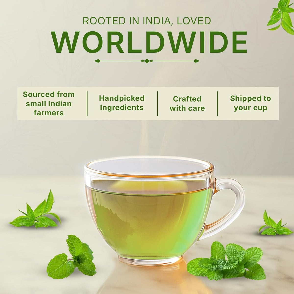 Mint Green Tea (3.5oz / 100gm), Natural Herbal Infusion, 50 Tea Bags