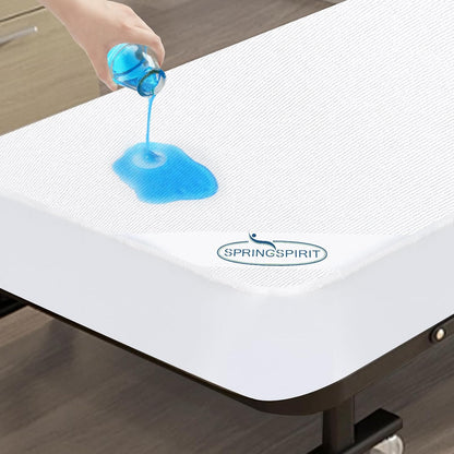 Queen Mattress Protector Waterproof Cover Absorbent Fitted Sheet up - 18'' Deep Pocket Mattress Cover Queen Size Bed Sheets, Terry Machine Wash Protection Mattress Protector