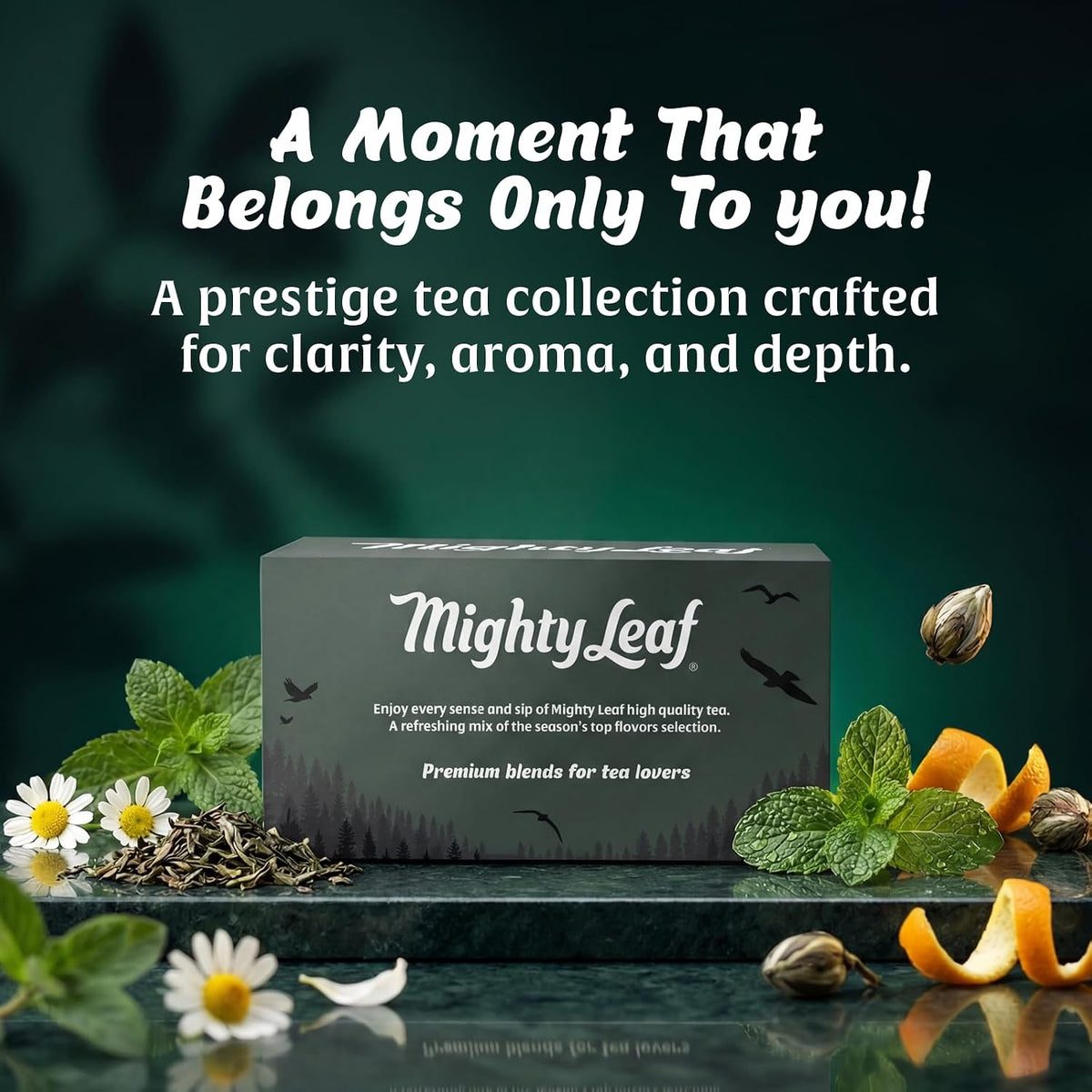 Mighty Leaf Tea Sampler - Assorted Flavors Gift Box - 40 Pouches