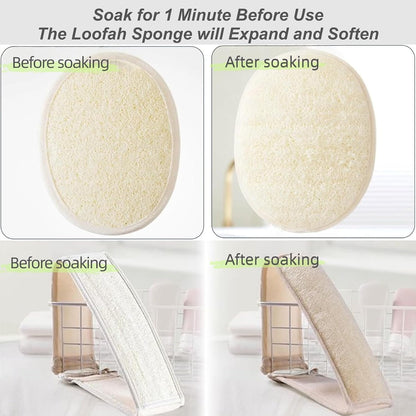 Natural Loofah Exfoliating Body Scrubber, 2-Piece Set, Includes Loofah Back Scrubber + Loofah Sponge, Bath Shower Loofah Scrubber for Men & Women, to Clean Body Deeply, Invigorate Your Skin