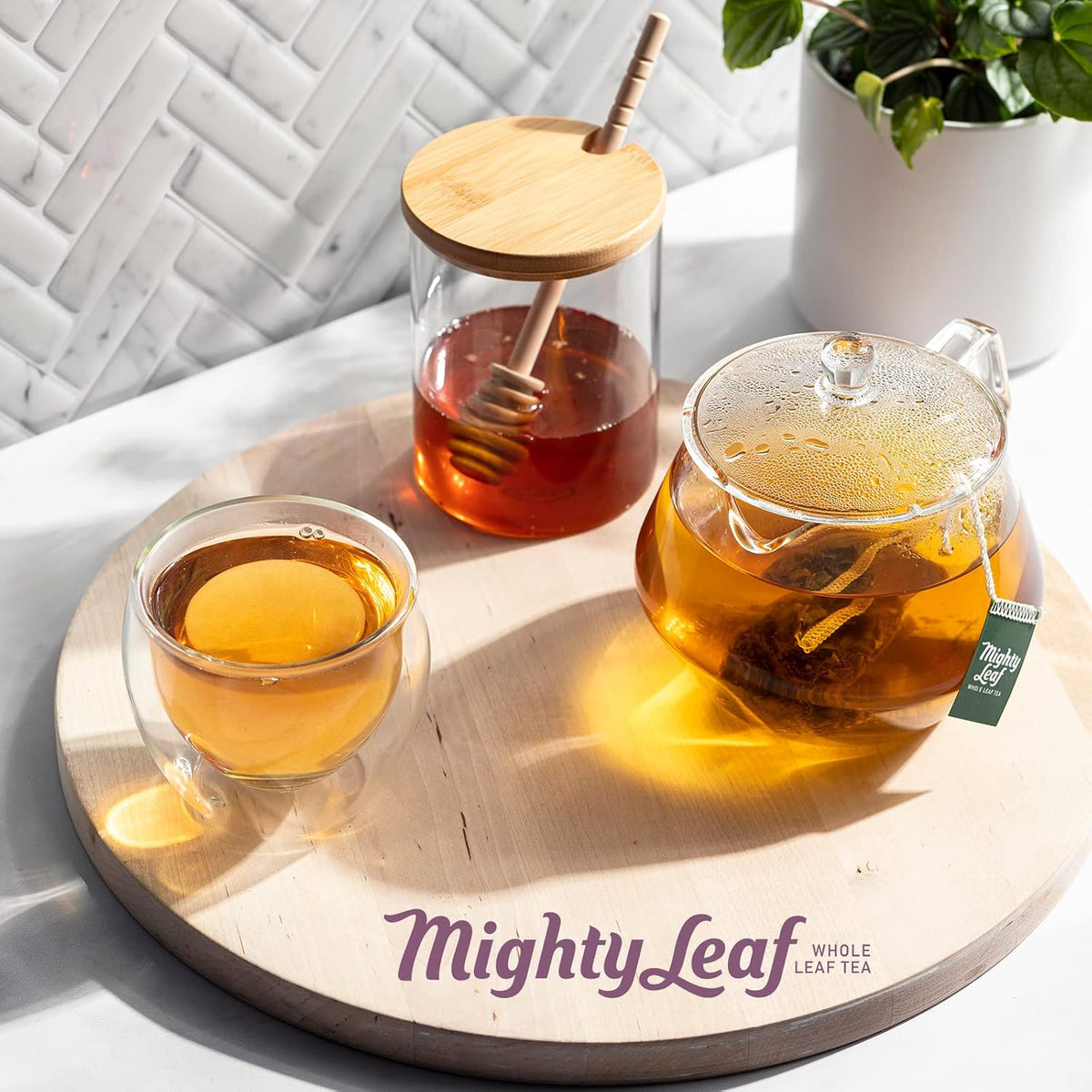 Mighty Leaf Spring Jasmine Green Tea - Premium - Foil Wrapped for Freshn - 100 Count Tea Pouches - Premium Green Tea with Rich Flavor - Individually Wrapped Tea Bags