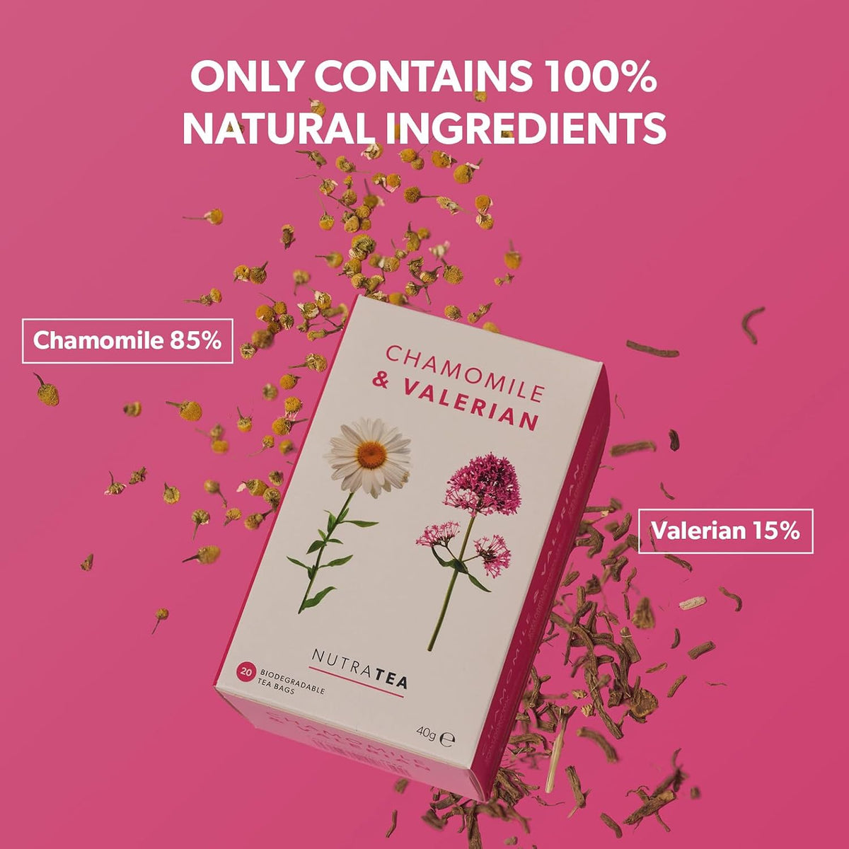 NutraTea Chamomile & Valerian Tea - Bedtime and Night Time Tea - 20 Individually Wrapped Bags (1 Pack)