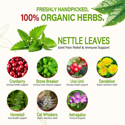 HerbOLITHIC 8-in-1 Nettle Leaf Tea Bags for Joint Health. 30 Bags 3g/bag.