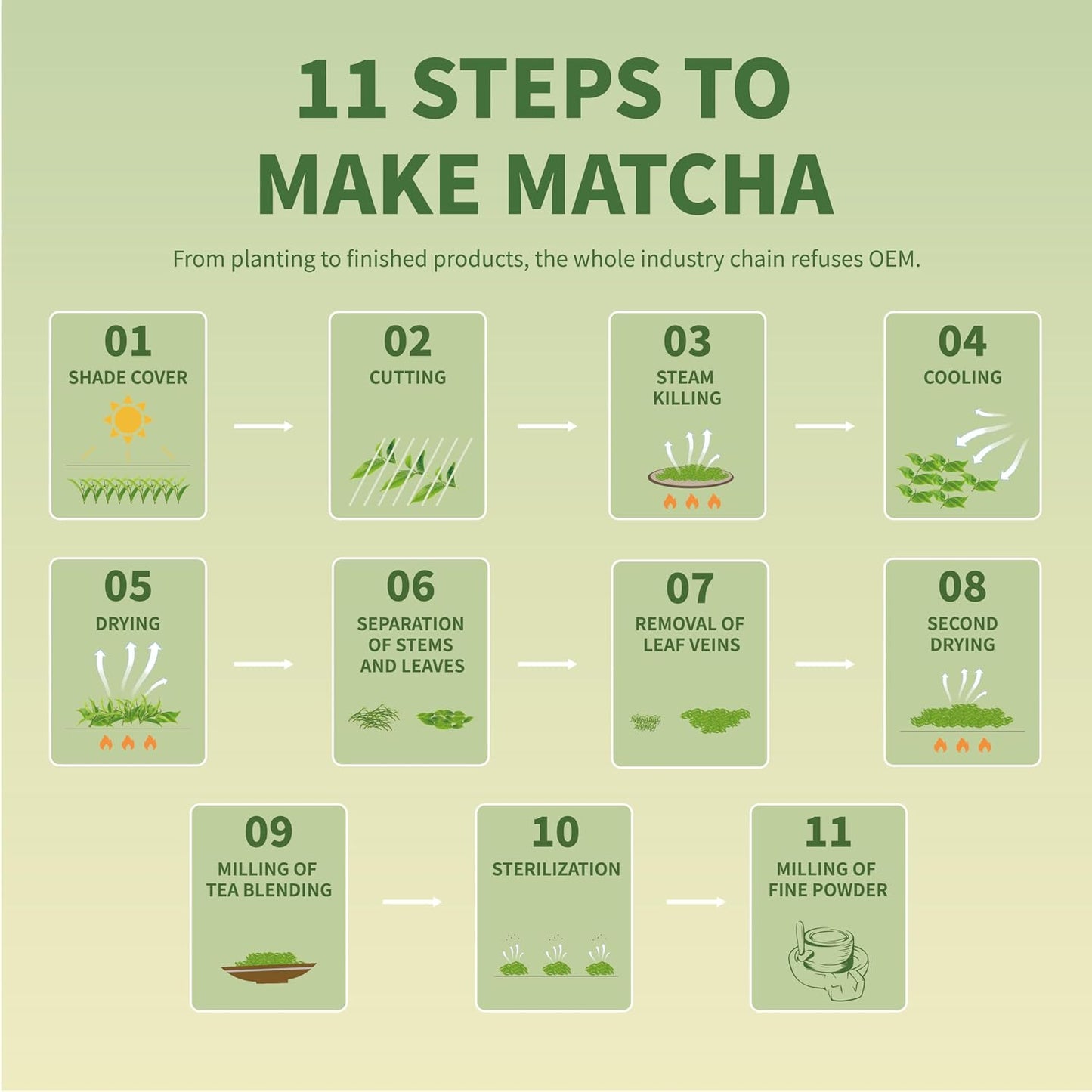 TIAN HU SHAN Matcha Powder 3.5oz/100g Culinary Macha for Latte Baking