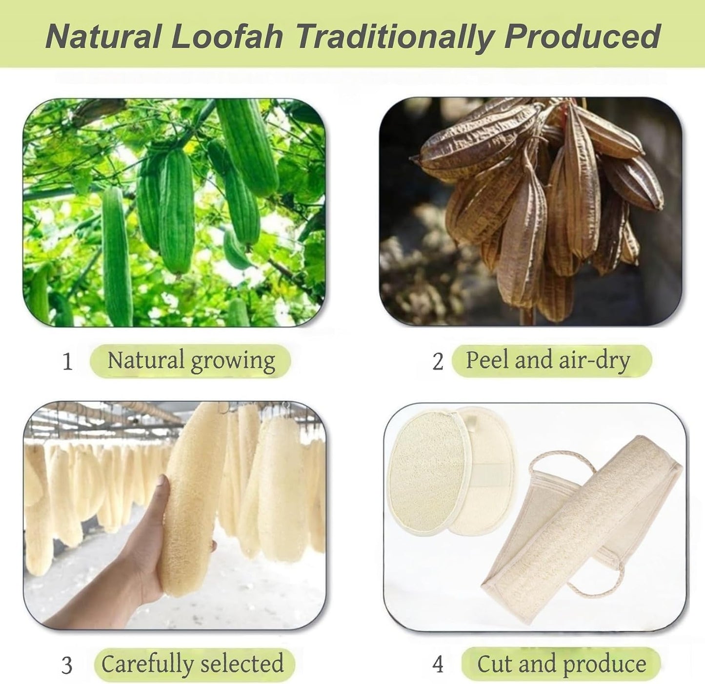 Natural Loofah Exfoliating Body Scrubber, 2-Piece Set, Includes Loofah Back Scrubber + Loofah Sponge, Bath Shower Loofah Scrubber for Men & Women, to Clean Body Deeply, Invigorate Your Skin