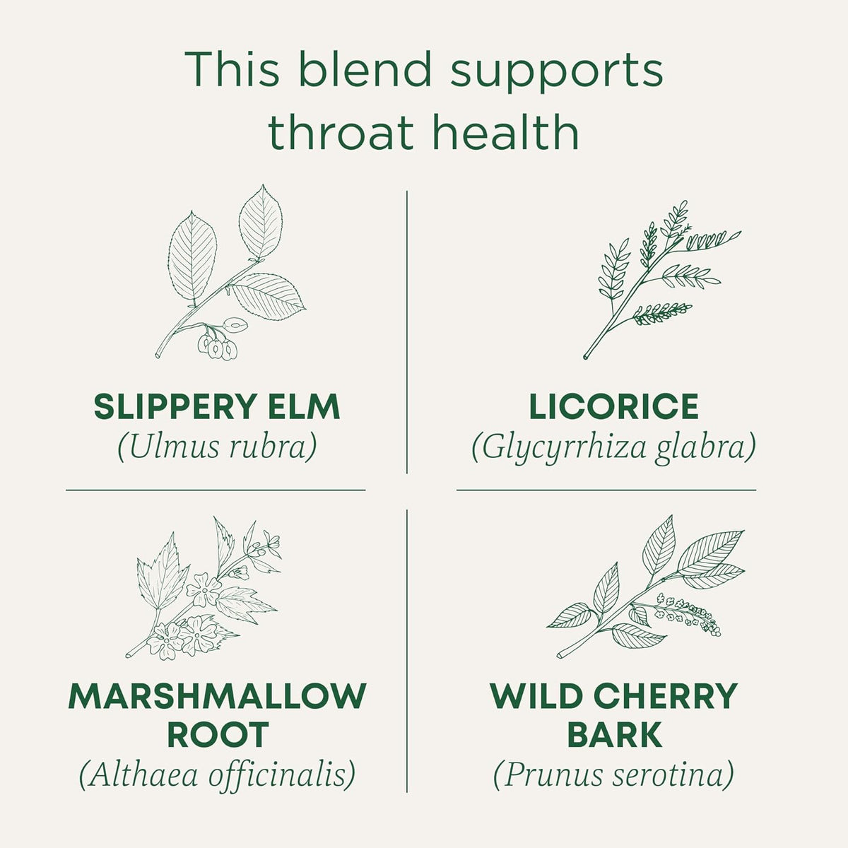 Traditional Medicinals Organic Throat Coat Seasonal Tea, 16 Tea Bags (Pack of 1)