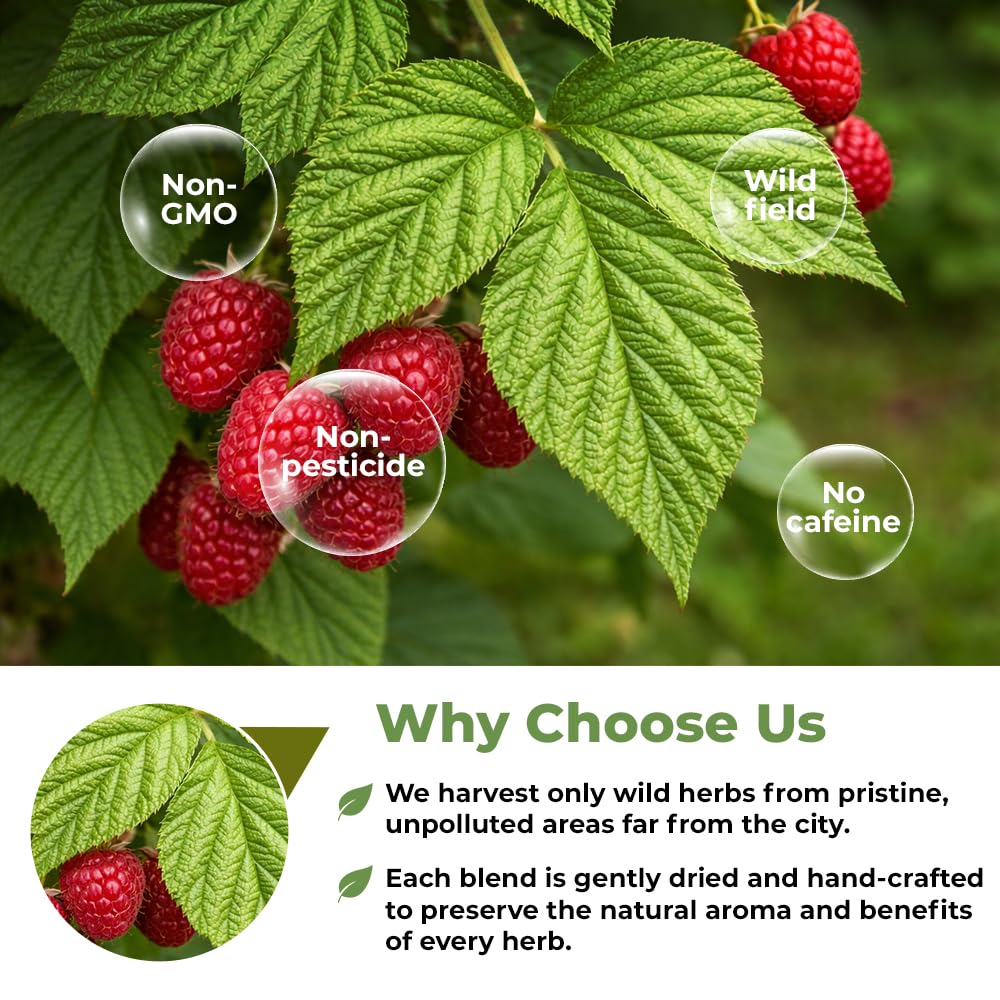 4 oz. Raspberry Leaf Tea Rasberry Leaf Herbs (Rubus Idaeus Folium) - 113g Rasberry Leave Tea Hojas De Frambuesa