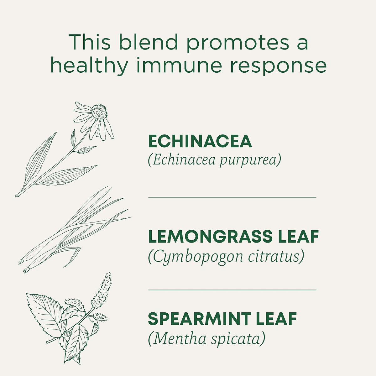 Traditional Medicinals Organic Echinacea Plus Spearmint, 96 Tea Bags