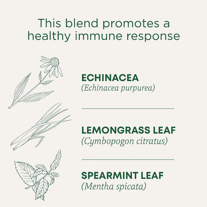 Traditional Medicinals Organic Echinacea Plus Spearmint, 96 Tea Bags
