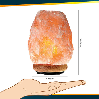 WBM LLC Himalayan Glow Natural Pink Salt Lamp, Crystal Salt Lamp Night Light with (ETL Certified) Brightness Control Dimmer Switch, Wooden Base & Salt Lamps Bulb | 6-8 LBS, Model Number: 1001