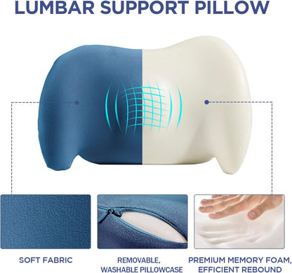Lumbar Support Pillow for Office Chair, Car Lumbar Pillow Lower Back Pain Relief, Memory Foam Back Cushion with 4D Mesh Cover and Adjustable Straps, Ergonomic Chair Back Pillow for Car,Bed, Gaming