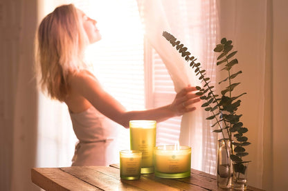 Chesapeake Bay Candle Scented Candle Serenity + Calm (Lavender Thyme) Coffee Table Home Décor