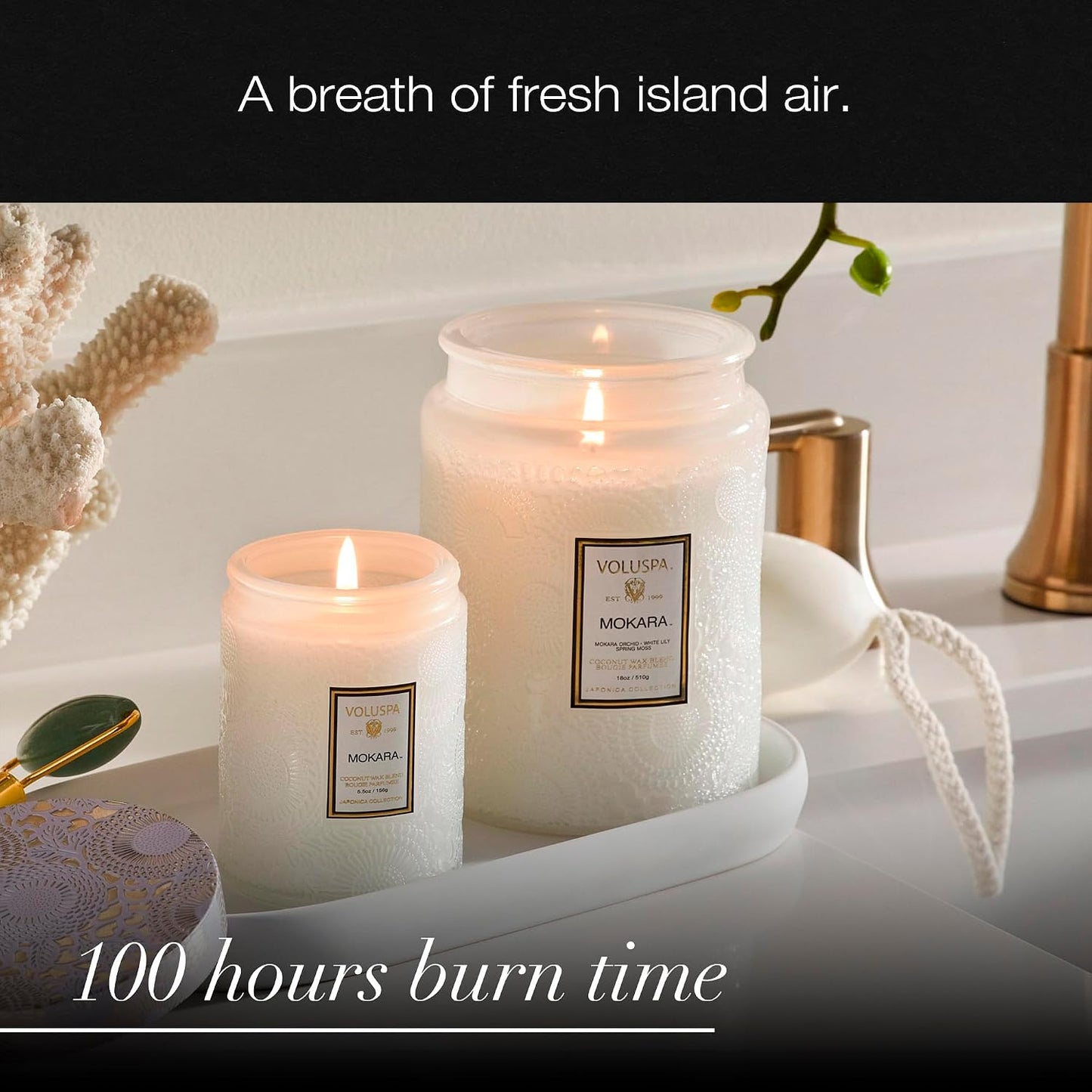 Voluspa Baltic Amber Candle, 18 oz, Coconut Wax Blend, Scented Candles for Home, 100 Hour Burn Time, Candle Jar