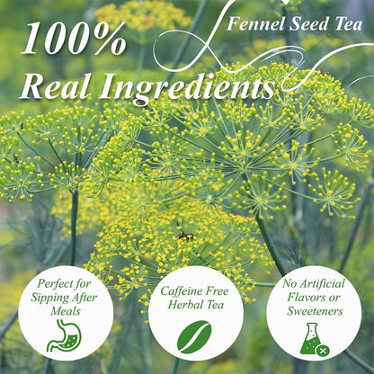 WT WEETEE Fennel Tea Bags 100 Count, 100% Natural & Pure Fennel Seeds Tea