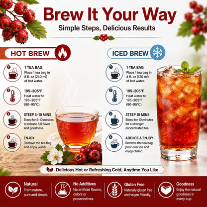WOTIHA Hawthorn Berry Tea Bags, 65 Count - 100% Natural Dried Herbal Tea
