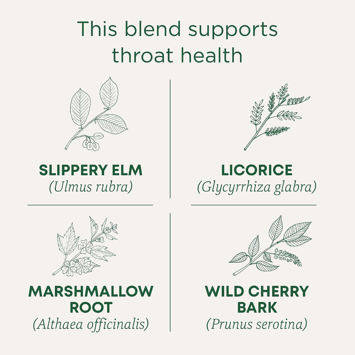 Traditional Medicinals Organic, Throat Coat Tea, Original with Slippery Elm - Supports Throat Health - Kosher, Non-GMO, Caffeine-Free, Compostable - 48 Tea Bags
