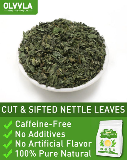 Olvvla - Nettle Leaf Tea - 1.5g X 60 Count - Pure Stinging Nettle Leaves