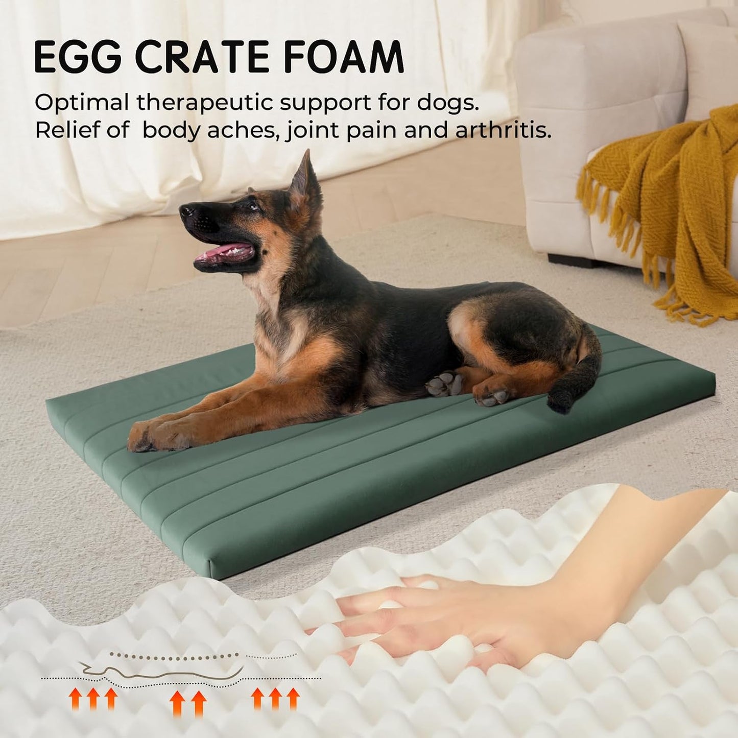 BALANCE Dog Crate Bed, Orthopedic Dog Bed Pad with Waterproof Liner, Washable Crate Foam Pet Mat for Large, Medium, Puppy Dogs Breeds, Mint Leaf, 36“x23”x1.6“
