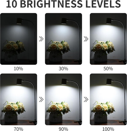 Desk Lamp USB Clip On Light,Book Lights for Reading at Night Clamp Light | 3 Color Modes,10 Brightness Clamp Light,360° Gooseneck LED Reading Light for Books in Bed,Eye-Care for Home Office,Headboards