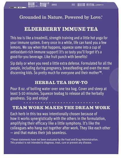 Earth Mama Organic Elderberry Immune Support Tea with Echinacea | Safe For Pregnancy, Breastfeeding, Postpartum, Kids and Family Essentials, Decaf Tea with Ginger & Rooibos, 16-Count (2-Count)